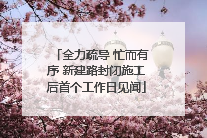 全力疏导 忙而有序 新建路封闭施工后首个工作日见闻