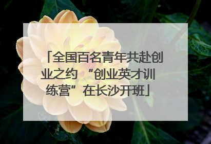 全国百名青年共赴创业之约 “创业英才训练营”在长沙开班