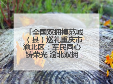 全国双拥模范城（县）巡礼重庆市渝北区：军民同心铸荣光 渝北双拥谱新篇