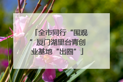 全市同行“围观”厦门湖里台青创业基地“出圈”
