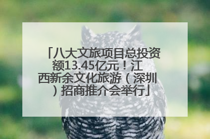 八大文旅项目总投资额13.45亿元！江西新余文化旅游（深圳）招商推介会举行