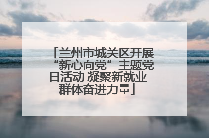 兰州市城关区开展“新心向党”主题党日活动 凝聚新就业群体奋进力量