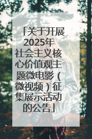 关于开展2025年社会主义核心价值观主题微电影（微视频）征集展示活动的公告