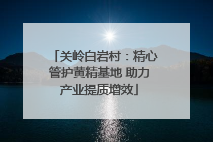 关岭白岩村：精心管护黄精基地 助力产业提质增效