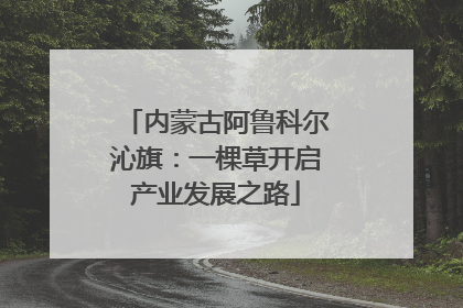 内蒙古阿鲁科尔沁旗：一棵草开启产业发展之路