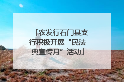 农发行石门县支行积极开展“民法典宣传月”活动