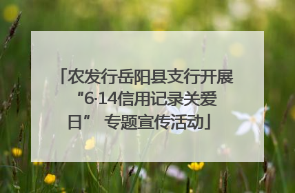 农发行岳阳县支行开展“6·14信用记录关爱日” 专题宣传活动