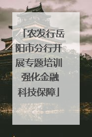 农发行岳阳市分行开展专题培训 强化金融科技保障