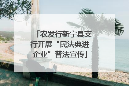 农发行新宁县支行开展“民法典进企业”普法宣传
