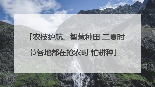 农技护航、智慧种田 三夏时节各地都在抢农时 忙耕种
