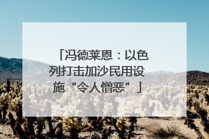 冯德莱恩：以色列打击加沙民用设施“令人憎恶”