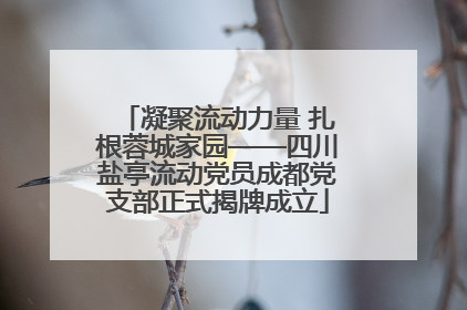 凝聚流动力量 扎根蓉城家园——四川盐亭流动党员成都党支部正式揭牌成立