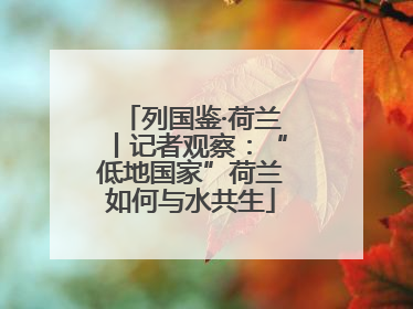 列国鉴·荷兰丨记者观察：“低地国家”荷兰如何与水共生
