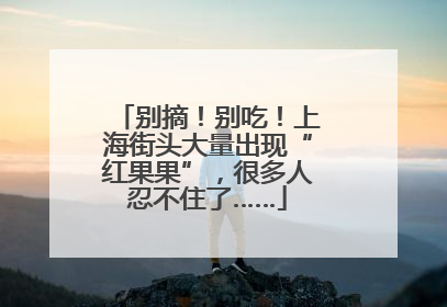别摘！别吃！上海街头大量出现“红果果”，很多人忍不住了……
