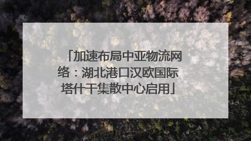 加速布局中亚物流网络：湖北港口汉欧国际塔什干集散中心启用