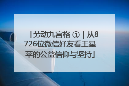 劳动九宫格 ①｜从8726位微信好友看王星苹的公益信仰与坚持