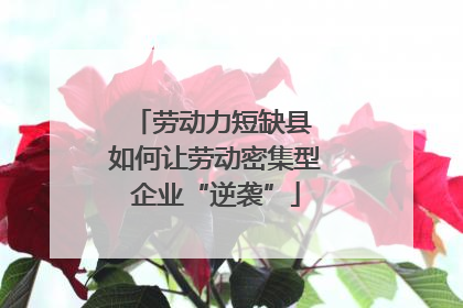 劳动力短缺县 如何让劳动密集型企业“逆袭”