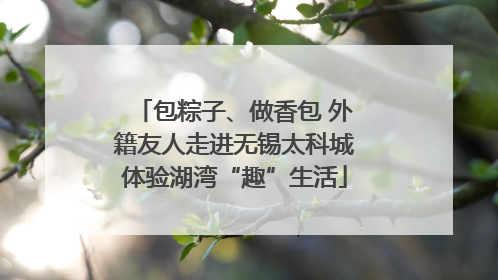 包粽子、做香包 外籍友人走进无锡太科城体验湖湾“趣”生活