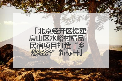 北京经开区援建房山区水峪村精品民宿项目打造“乡愁经济”新标杆