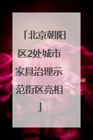 北京朝阳区2处城市家具治理示范街区亮相