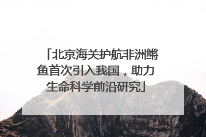 北京海关护航非洲鳉鱼首次引入我国，助力生命科学前沿研究