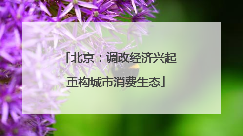 北京：调改经济兴起 重构城市消费生态