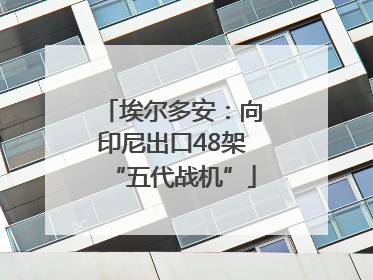 埃尔多安：向印尼出口48架“五代战机”