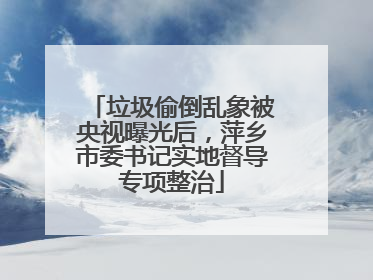 垃圾偷倒乱象被央视曝光后，萍乡市委书记实地督导专项整治