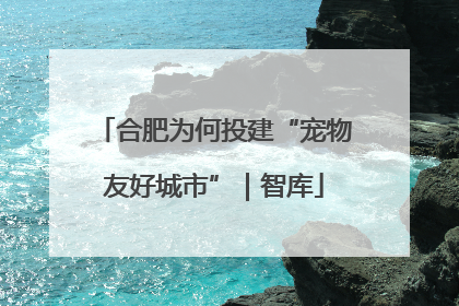合肥为何投建“宠物友好城市”｜智库