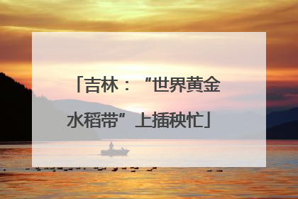 吉林：“世界黄金水稻带”上插秧忙
