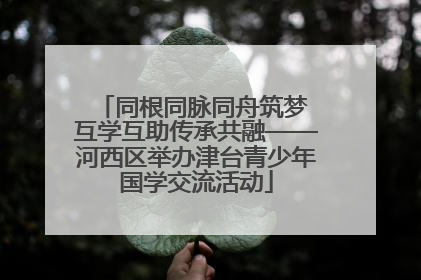 同根同脉同舟筑梦 互学互助传承共融——河西区举办津台青少年国学交流活动