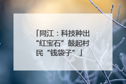 同江：科技种出“红宝石”鼓起村民“钱袋子”