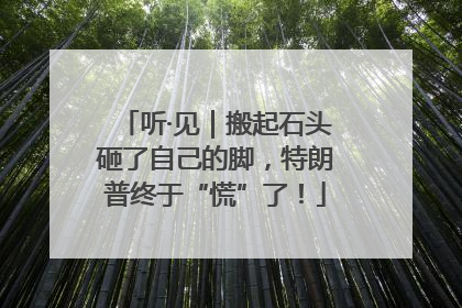 听·见｜搬起石头砸了自己的脚，特朗普终于“慌”了！