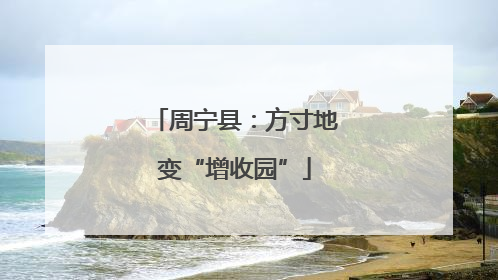 周宁县：方寸地变“增收园”