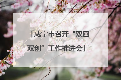 咸宁市召开“双回双创”工作推进会