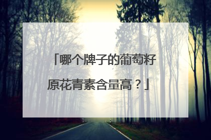 哪个牌子的葡萄籽原花青素含量高？