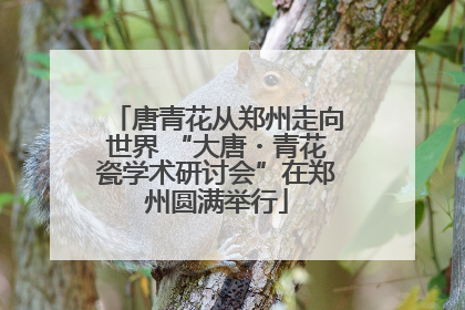 唐青花从郑州走向世界 “大唐・青花瓷学术研讨会”在郑州圆满举行
