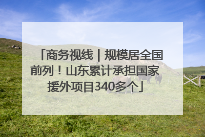 商务视线｜规模居全国前列！山东累计承担国家援外项目340多个