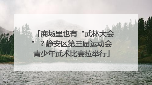 商场里也有“武林大会”？静安区第三届运动会青少年武术比赛拉举行