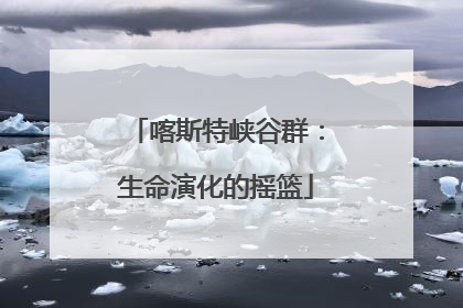 喀斯特峡谷群：生命演化的摇篮