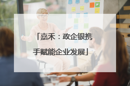 嘉禾：政企银携手赋能企业发展