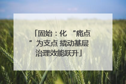 固始：化 “痛点”为支点 撬动基层治理效能跃升