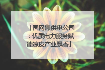 国网焦供电公司：优质电力服务赋能凉皮产业飘香