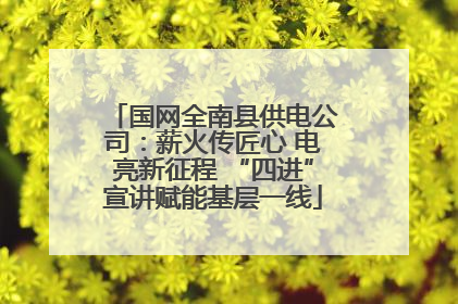 国网全南县供电公司：薪火传匠心 电亮新征程 “四进”宣讲赋能基层一线