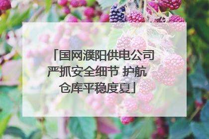 国网濮阳供电公司严抓安全细节 护航仓库平稳度夏