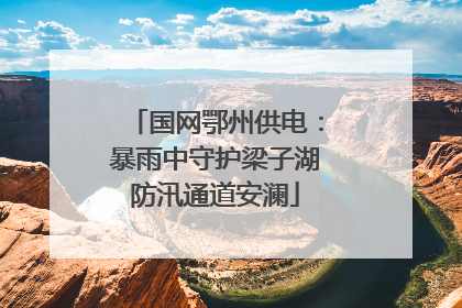 国网鄂州供电：暴雨中守护梁子湖防汛通道安澜