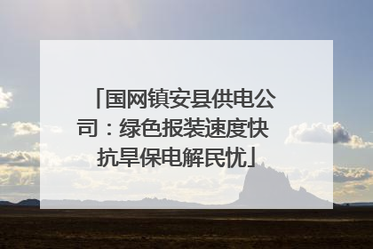 国网镇安县供电公司：绿色报装速度快 抗旱保电解民忧