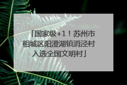 国家级+1！苏州市相城区阳澄湖镇消泾村入选全国文明村