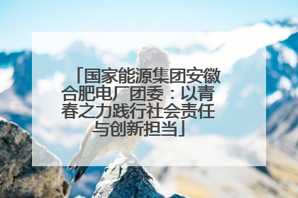 国家能源集团安徽合肥电厂团委：以青春之力践行社会责任与创新担当