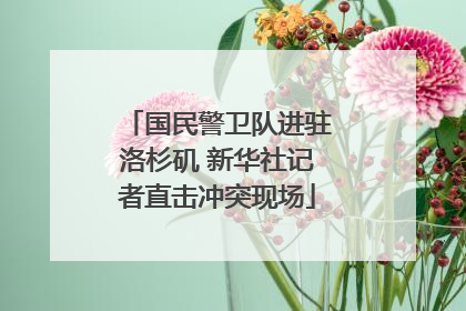 国民警卫队进驻洛杉矶 新华社记者直击冲突现场